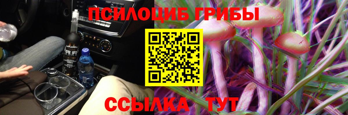 Хасавюрт  Галлюциногенные грибы прущие грибы  Вход с VPN 